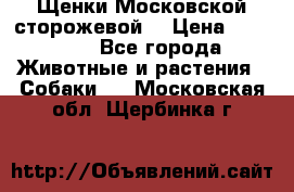 Щенки Московской сторожевой  › Цена ­ 25 000 - Все города Животные и растения » Собаки   . Московская обл.,Щербинка г.
